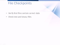 File Checkpoints in TestComplete 8