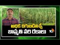 అధిక దిగుబడినిచ్చే బాస్మతి వరి రకాలు | Varieties of Basmati Rice | Matti Manishi | 10TV