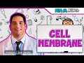 Cell Membrane Structure \u0026 Function