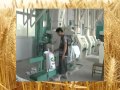 Flour Mill Grinder Machine, Flour Mill Machinery