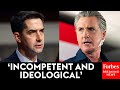 Tom Cotton Blasts Gavin Newsom, Other Dem Lawmakers In Hearings | 2025 Rewind