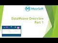 Mulesoft Tutorials | DataWeave Overview Part 1 | DataWeave | NetBook | P14