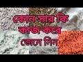 কোন সারের কি কাজ|| কোন সার কখন প্রয়োগ করবেন|| Which fertilizer work for what and how to use.