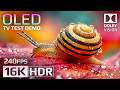 16K HDR 240fps OLED Test Demo | Ultimate Dolby Vision™ Experience