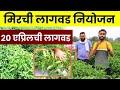 २० एप्रिल मिरची लागवड , संपूर्ण नियोजन आणि व्यवस्थापण| Mirchi Plot