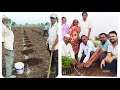 पेरू लागवड Guva plantation