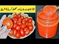Tomato Puree Recipe By Maria Ansari || Tomato Paste || How To Store || Commercial Recipe ||