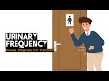 Urinary Frequency, Causes, Signs and Symptoms, Diagnosis and Treatment.