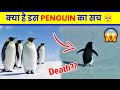 Viral Penguin Video Explained in Hindi | Penguin Mountain Documentary | Penguin Depressed Explained