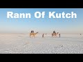 Rann Of Kutch | Kalo Dungar | Homstay In Rann Of Kutch | Gujarat Tourism | Manish Solanki Vlogs