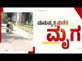 Bike Incident : ಮನುಷ್ಯತ್ವ ಮರೆತ ಮೃಗ..! | Bengaluru | @newsfirstkannada