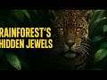 Top 5 Rainforest Animals | Hidden Jewels of the Amazon