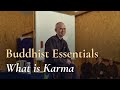 Thich Nhat Hanh on Buddhist Essentials: What is Karma