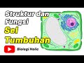 Structure and Function of Plant Cells (Animation) | Parts of a Plant Cell