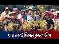 নেত্রকোণার হাওরে কৃষকের ধান কেটে দিলেন কৃষক লীগ | Netrokona Haor krishok League | Jamuna TV