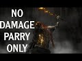 Elden Ring / Radagon of the Golden Order (No Damage) - Parry Only