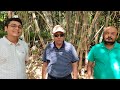 Rajshkhar patil bamboo farming 9860209283