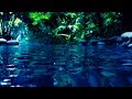 Water Sounds for Sleep or Focus | White Noise Stream 10 Hours