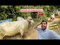 Arjun Vs Anand Bull Fight🤬⚔️Anand Bull Bhaag Gaya😱