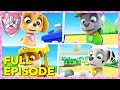 Pups Save A Walrus (Full Episode) | Skye - Paw Patrol \u0026 Friends | Cartoons For Kids