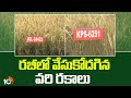 New Paddy Crop Suitable For Rabi | రబీలో వేసుకోదగిన వరి రకాలు | Matti Manishi | 10TV