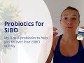 Probiotics for SIBO - Better than OPTIBAC! - the Best Probiotics for SIBO Recovery
