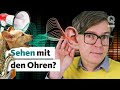 Hören: Wie unser Gehirn uns vera****t | Quarks Dimension Ralph