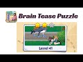 Brain Tease Puzzle Level 41 Walkthrough 🧠 | Step-by-Step Guide | SolutionGuruji