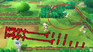 ぜいたくフレンド サファリ Xy 子供のためだけに着色