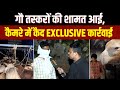 Operation Nandi Prahar Live: गौ तस्करों की शामत आई, कैमरे में कैद Exclusive कार्रवाई