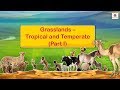 Grasslands - Tropical and Temperate | Social Studies For Grade 5 | Periwinkle