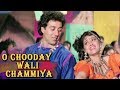 O Chooday Wali Chammiya | Jaya Prada Sunny Deol | Veerta (1993) Bollywood Songs