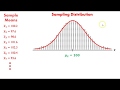 Sampling Distribution and the Central Limit Theorem