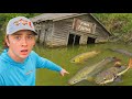 I Found an Abandoned Fish Farm!
