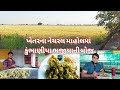 ખેતરમાં કૂંભાણીયા ભજીયાનો આનંદ | Junagadh Rajkot highway |  Kumbhaniya Bhajiya recipe | Farm food
