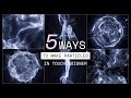 5 Ways To Make Particles in TouchDesigner