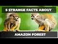 5 Strange Facts About The Amazon Forest #StrangeFacts#AmazonRainforest#Amazon#Rainforest#Facts