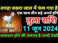 तुला राशि: 11 जून 2024 को तगड़ा बकरा जाल में फंस गया है, एक साथ तीन बड़े अनर्थ होंगे | tula rashi