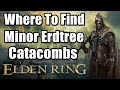 Elden Ring - Where To Find Minor Erdtree Catacombs