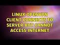 linux openvpn client connects to server but cannot access internet