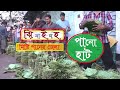যে জেলার মিষ্টি পান যায় দেশে বিদেশে । Jhenaidah Betel Leaf। Betel Leaf। Jhenaidaher Chokh✔️