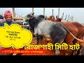 Rajshahi City Hat 28/12/2025 Real price of bull and cow part =02
