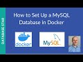 How to Set Up MySQL Database with Docker