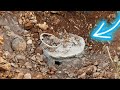 What We Discovered Buried Shocked The Whole World❌ [ Strange Treasure Hunt By Metal Detector ]
