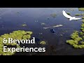 Experiences TV | The Okavango Delta from Above | Botswana