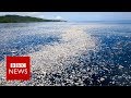 The plastic bottle scheme that could help clean the oceans - BBC News