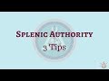 Three Tips to Get in Touch with Your Splenic Authority - Human Design