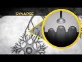 Thinking Brain | Mysteries of the Brain