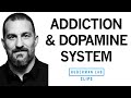 Addiction Explained, Rises \u0026 Falls in Dopamine | Dr. Andrew Huberman