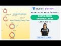 L12: Restriction Endonuclease | NCERT Concepts in NEET 2019 | Pre-medical - NEET/AIIMS